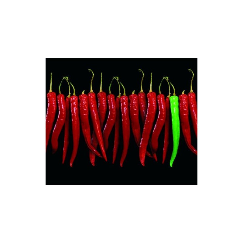Panel kuchenny szklany chilli 3 z 3 Dubiel Vitrum