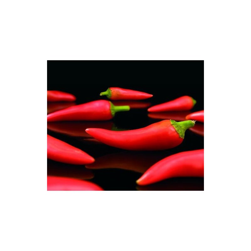 Panel kuchenny szklany papryka duża 1 z 3 Dubiel Vitrum