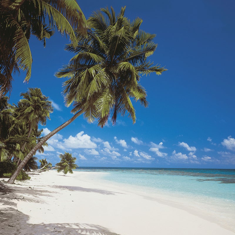 Fototapeta Maldives 388 x 270 cm Komar