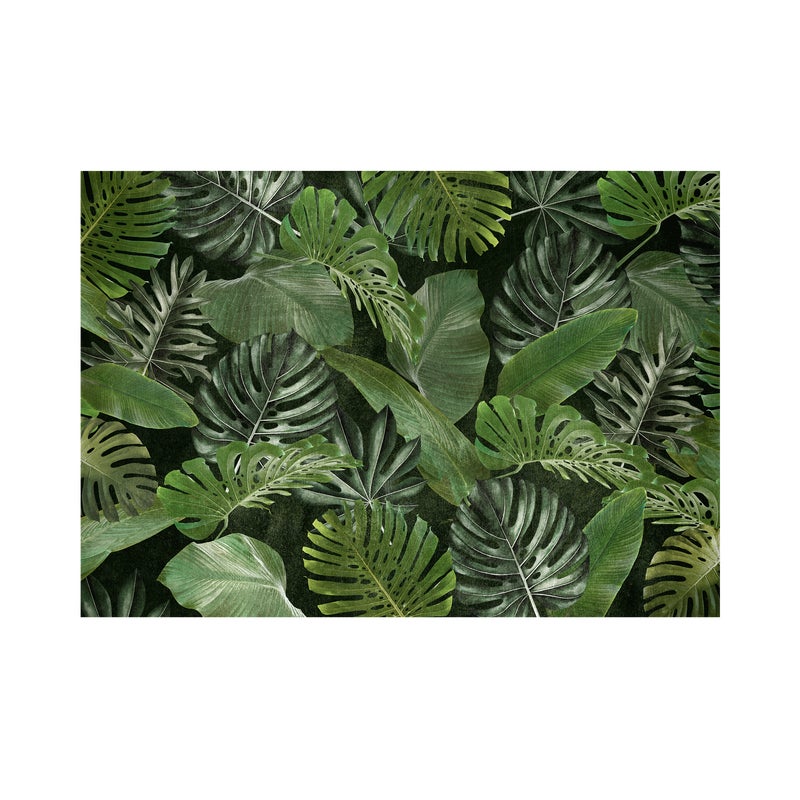 Mural Tropical egzotyczne liście 400 x 280 cm delikatna struktura