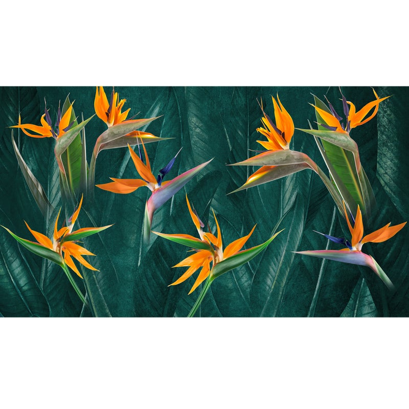 Mural Strelitzia egzotyczne kwiaty 500 x 280 cm struktura płótna