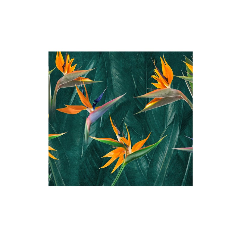 Mural Strelitzia egzotyczne kwiaty 300 x 280 cm struktura płótna
