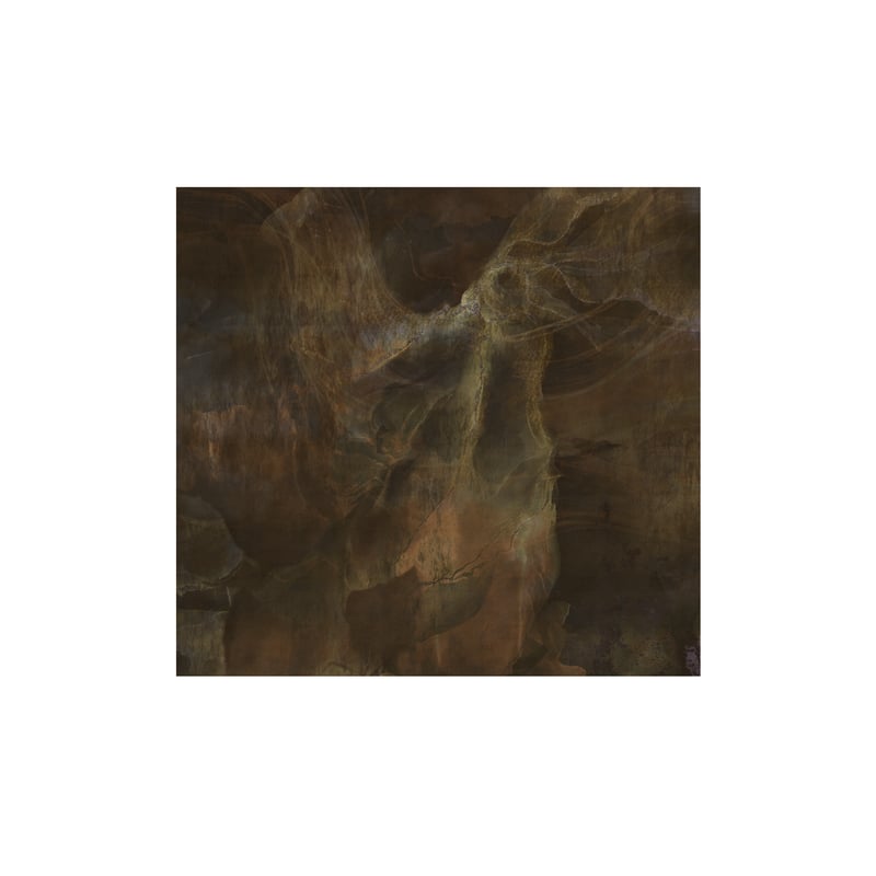 Mural Sega brązowo-złoty 300 x 280 cm struktura płótna