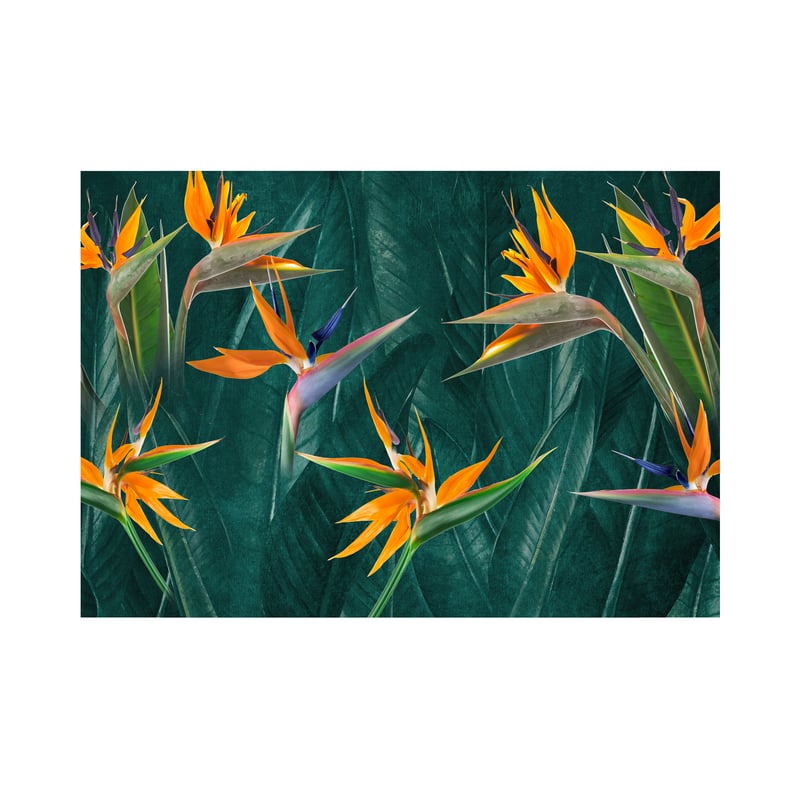 Mural Strelitzia egzotyczne kwiaty 400 x 280 cm struktura Art