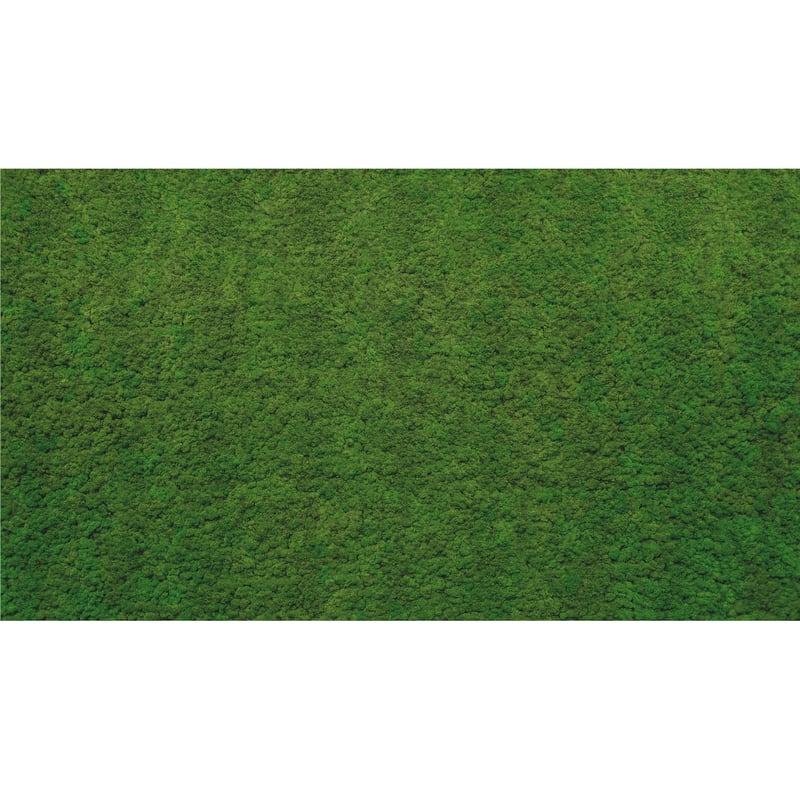 Mural Moss zielona ściana 500 x 280 cm struktura Art