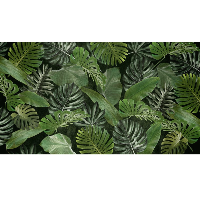 Mural Tropical egzotyczne liście 500 x 280 cm struktura Art