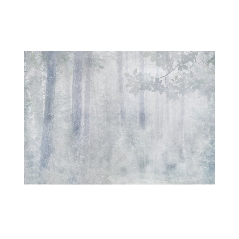 Mural Misty Las 400 x 280 cm struktura Art