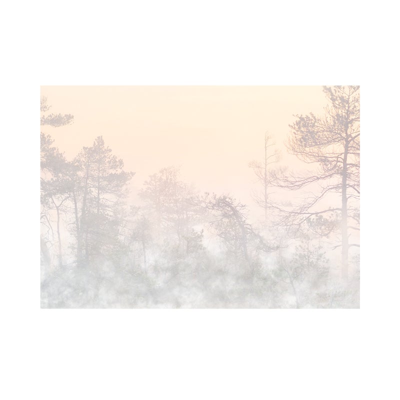 Mural Hinode Las we mgle 400 x 280 cm delikatna struktura