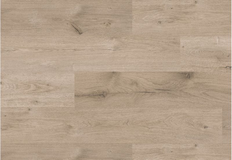 Kronospan Panele podłogowe laminowane Dąb Buzzard AC5 2,22 m2