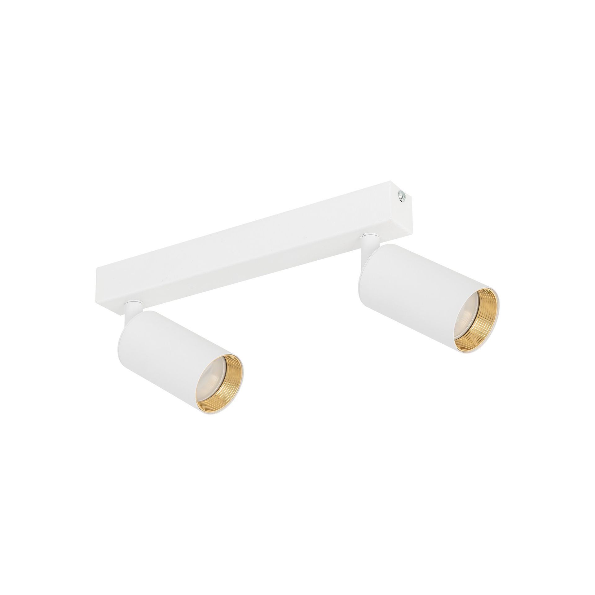 Natynkowa listwa z dwoma reflektorami TK 10795 z serii AMIS