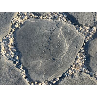 Płyta dekoracyjna Kamień Łupany Ścieżkowiec 30-45 cm