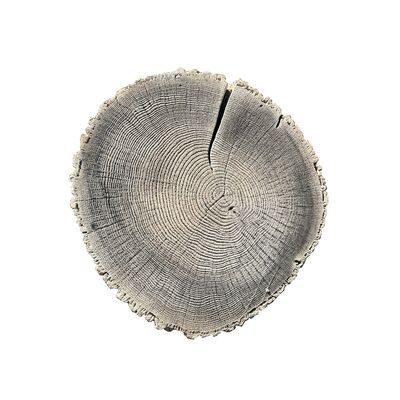 Płyta dekoracyjna Pień 38-45 cm biały