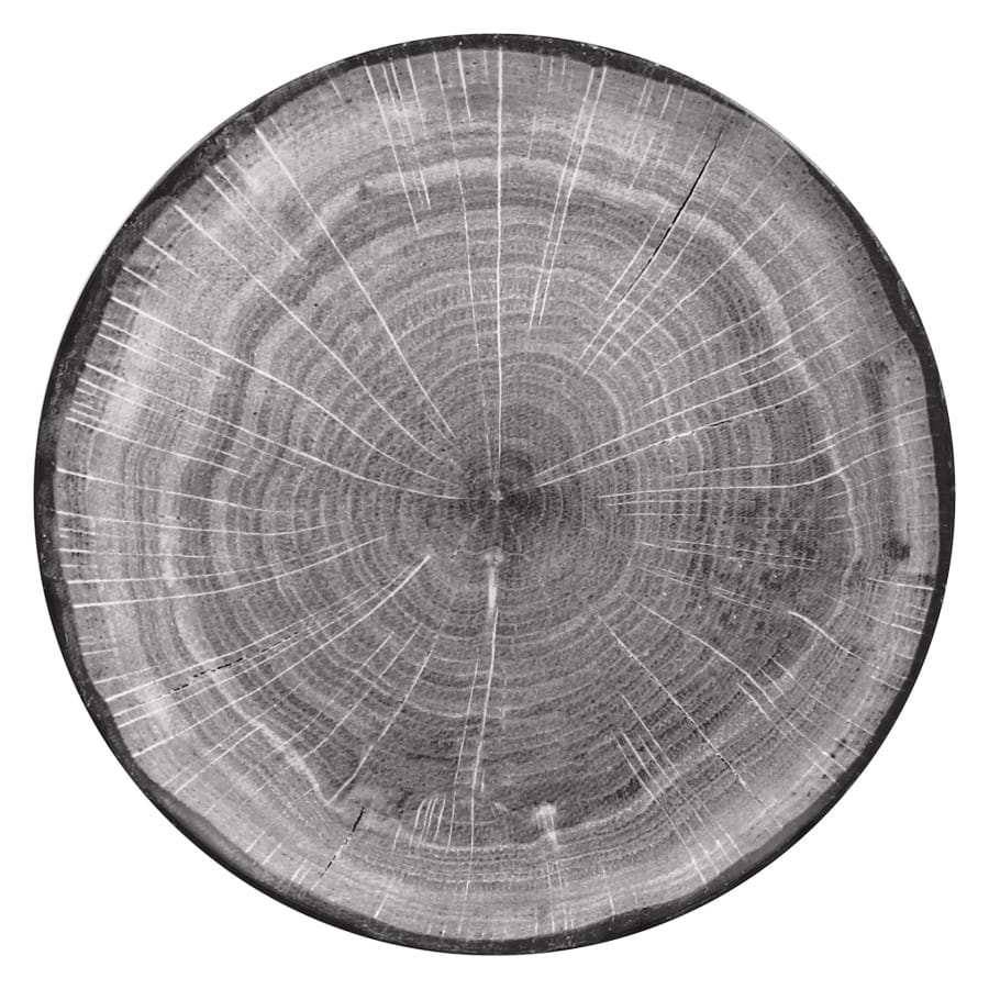 PORCELANA RAK Woodart talerz płaski szary 24 cm