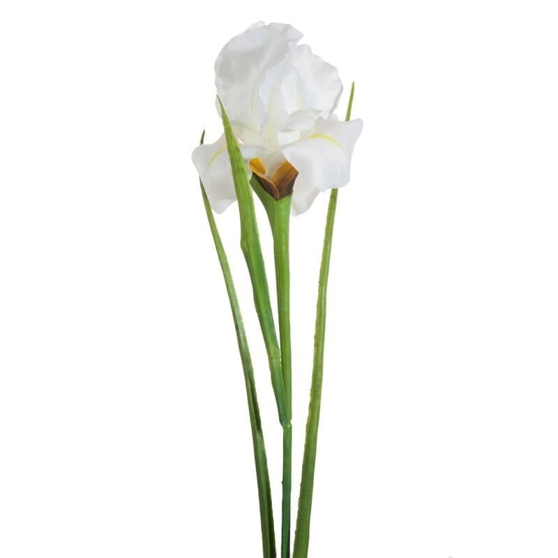 Eurofirany Kwiat Natu 381 61 Cm Kremowy szt. 6