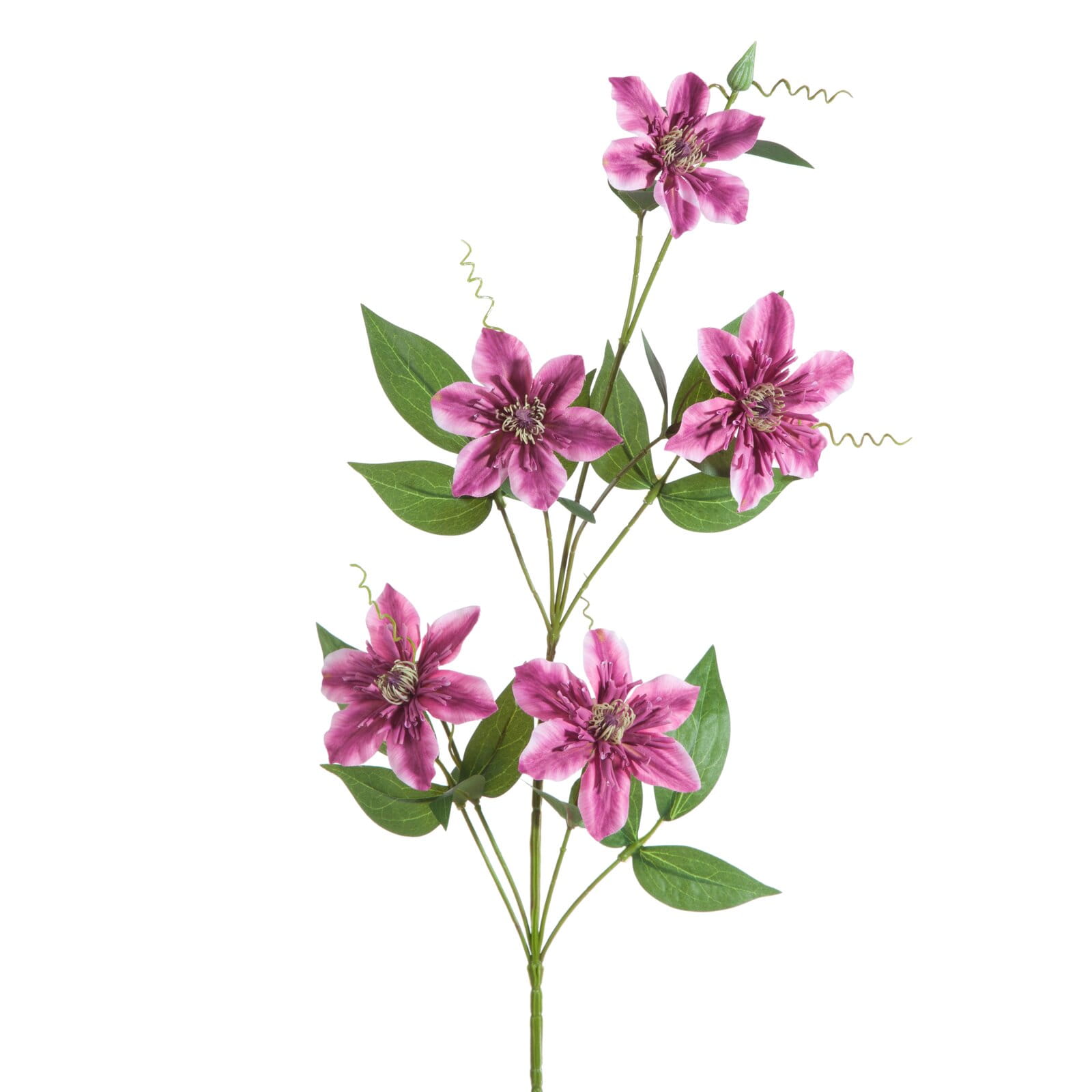 Eurofirany Kwiat Natu 393 85 Cm Amarantowy szt. 6