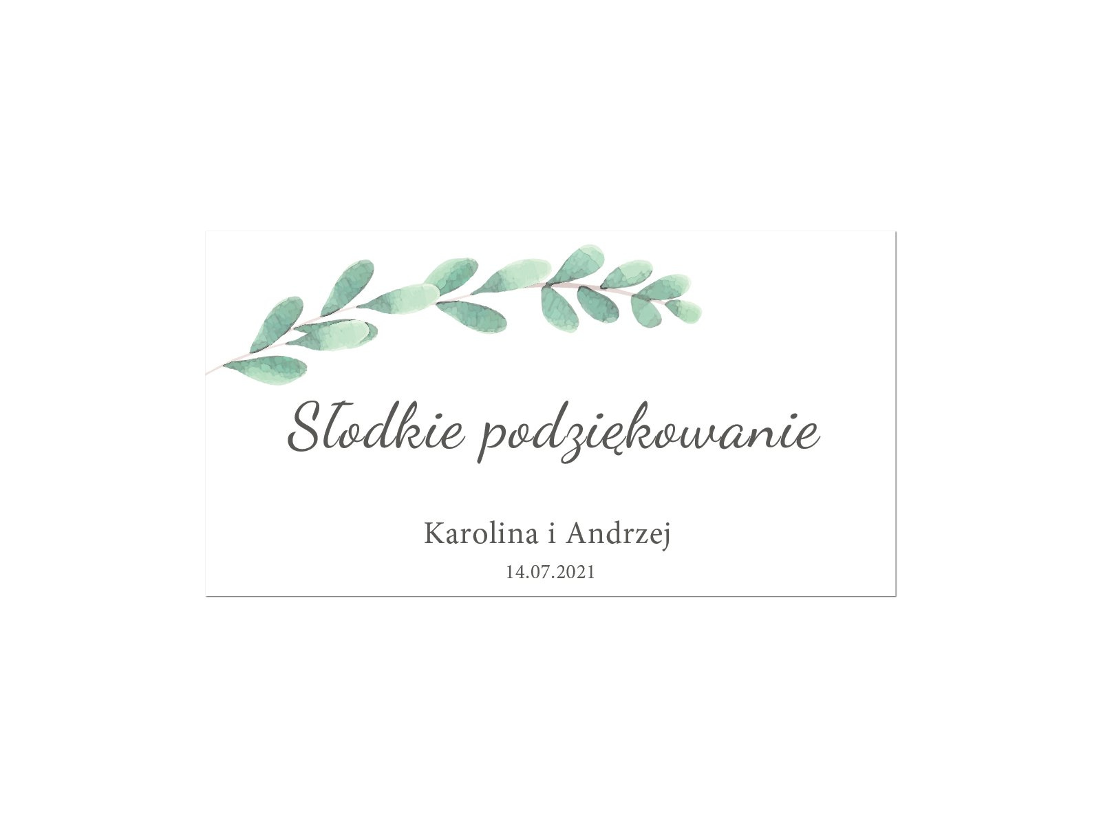 Naklejki personalizowane na pudełka na ciasto z eukaliptusem - 30 szt.