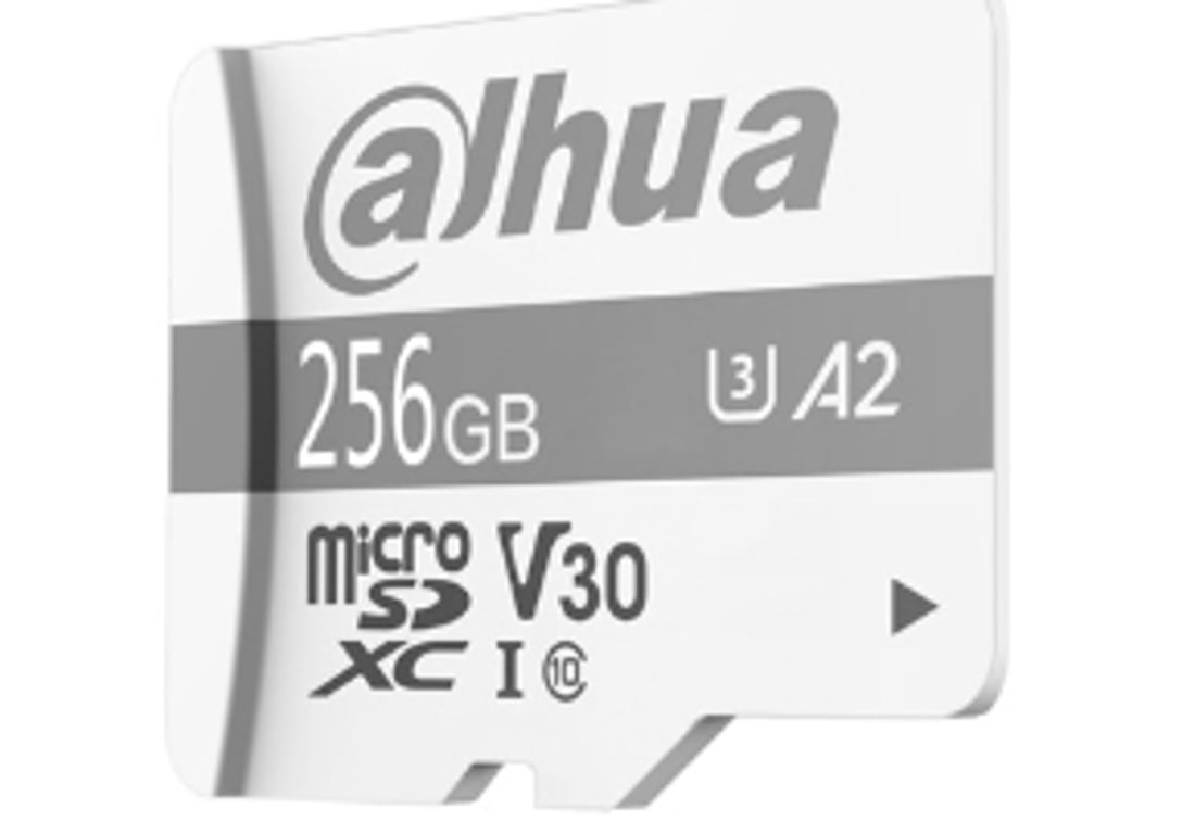 Dahua Technology P100 256 GB MicroSD UHS-I Klasa 10