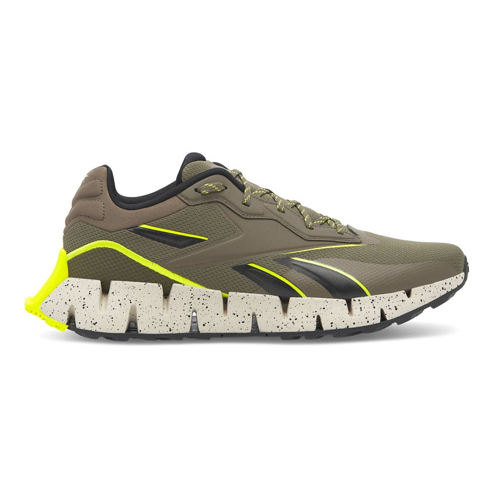 Obuwie sportowe Reebok ZIG DYNAMICA 4 ADVENTURE 100074700