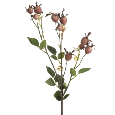 Kwiat dekoracyjny EUROFIRANY Natu 438 Pudrowy róż