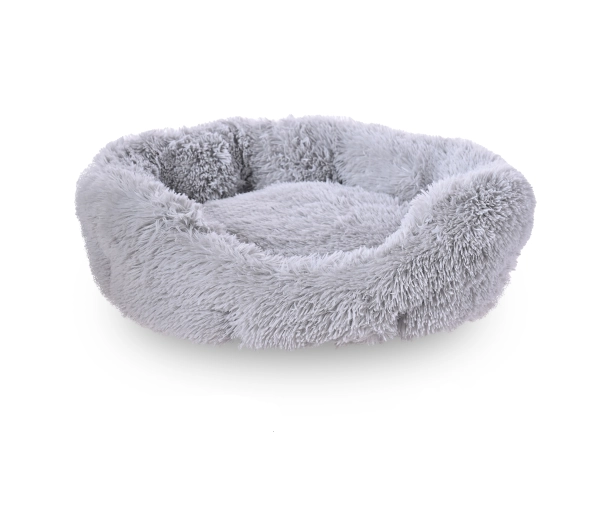 Pupilplanet YF202206022-23