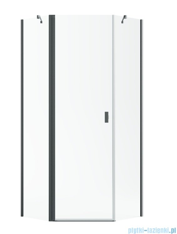 Radaway Nes Brushed GunMetal Ptj kabina pięciokątna 80x100cm lewa szczotkowany grafit 10052000-92-01L/10052400-92-01