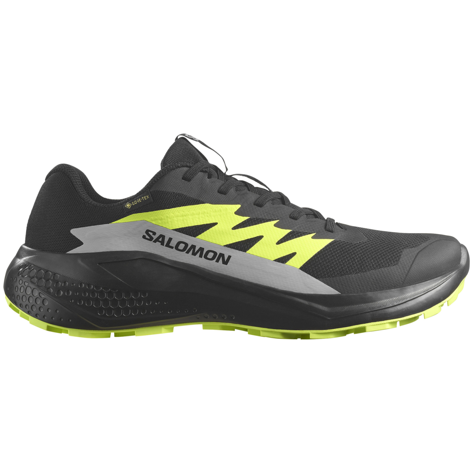 Buty do biegania dla mężczyzn Salomon Alphaglide Gore-Tex Rozmiar butów (UE): 44 2/3 / Kolor: czarny/szary