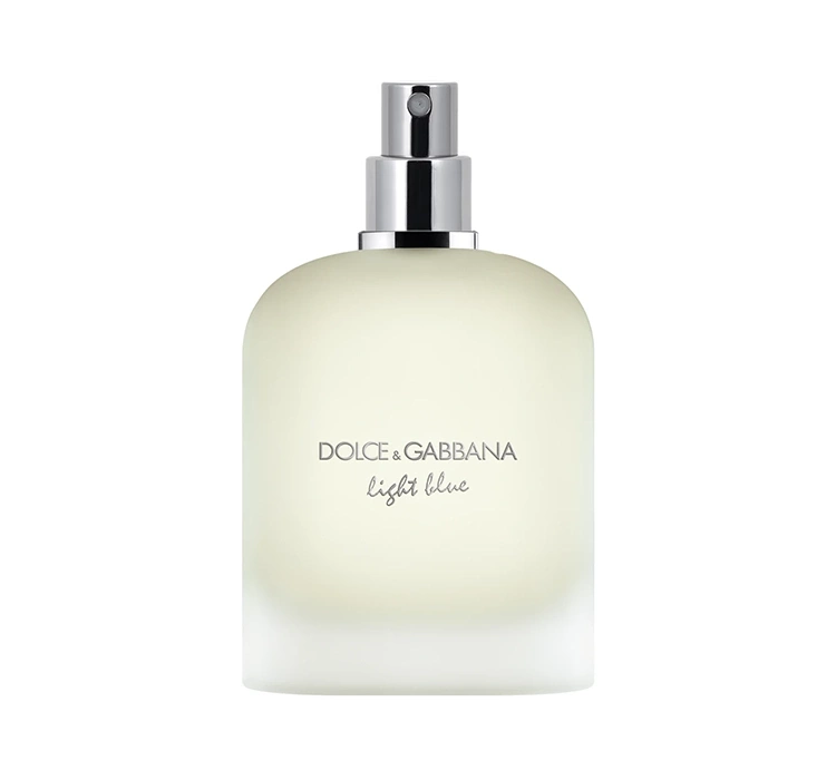 Tester Dolce & Gabbana Light Blue Pour Homme woda toaletowa spray 100 ml