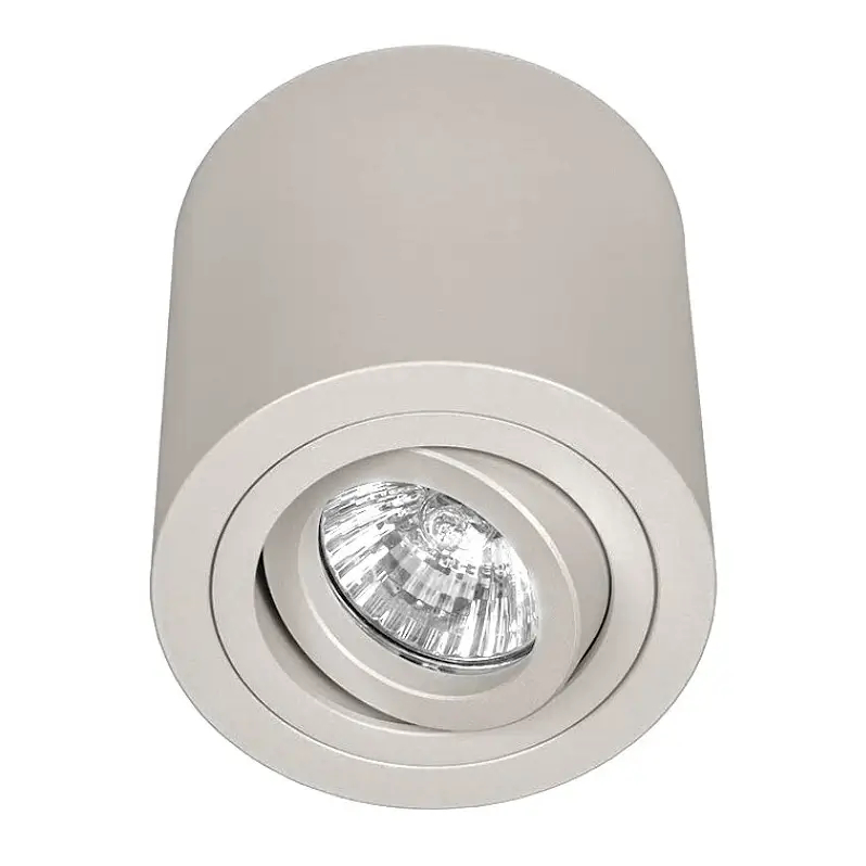 Regulowana lampa sufitowa Rullo Toupe OR86270 szara