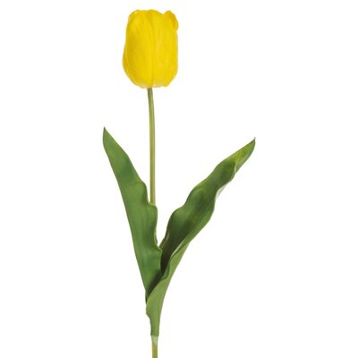 Kwiat dekoracyjny EUROFIRANY Natu 470444 56 cm Żółty