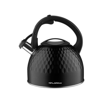 Czajnik nierdzewny 2,5 l Small Diamond czarny