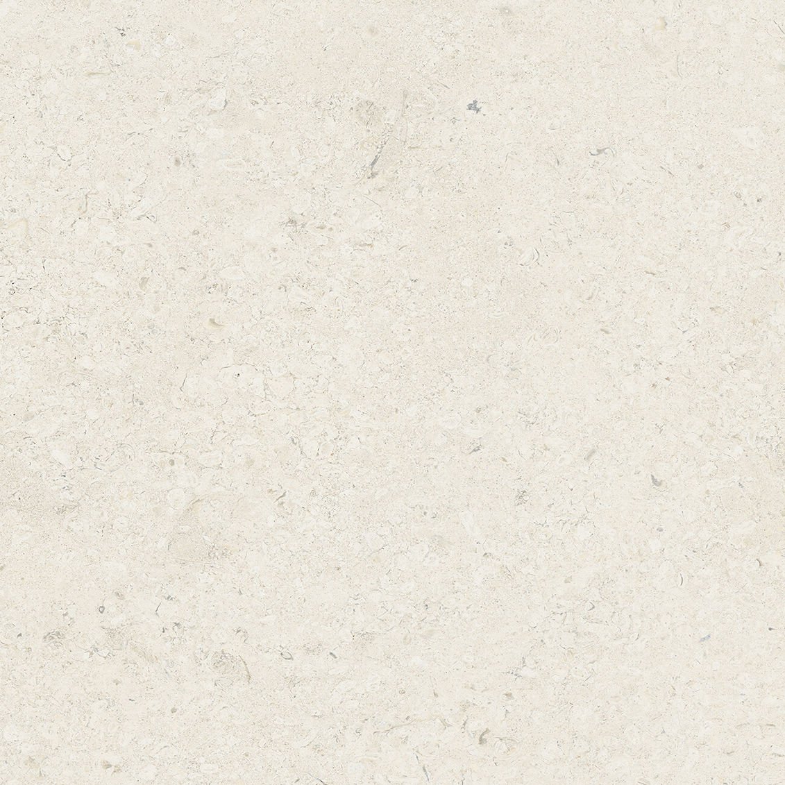 Opoczno Gres Liv Jura Landscape White Matt rectified 79,8X79,8