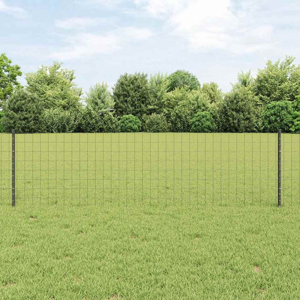 Euro Płot z 5 Słupkami Szary 0,6x10 m Stal