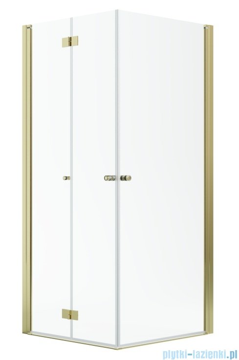 Radaway Nes Gold KDD B / KDD I kabina 100x80cm lewa złoty połysk przejrzyste 10024100-09-01L/10015080-09-01R