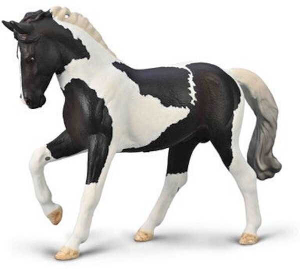 Ogier ciepłokrwisty Czarny Tobiano