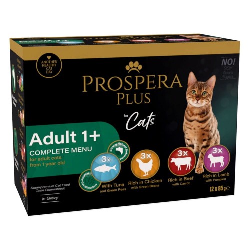 PROSPERA Plus Saszetka dla dorosłych 1+, 12x 85g (1513-10111)