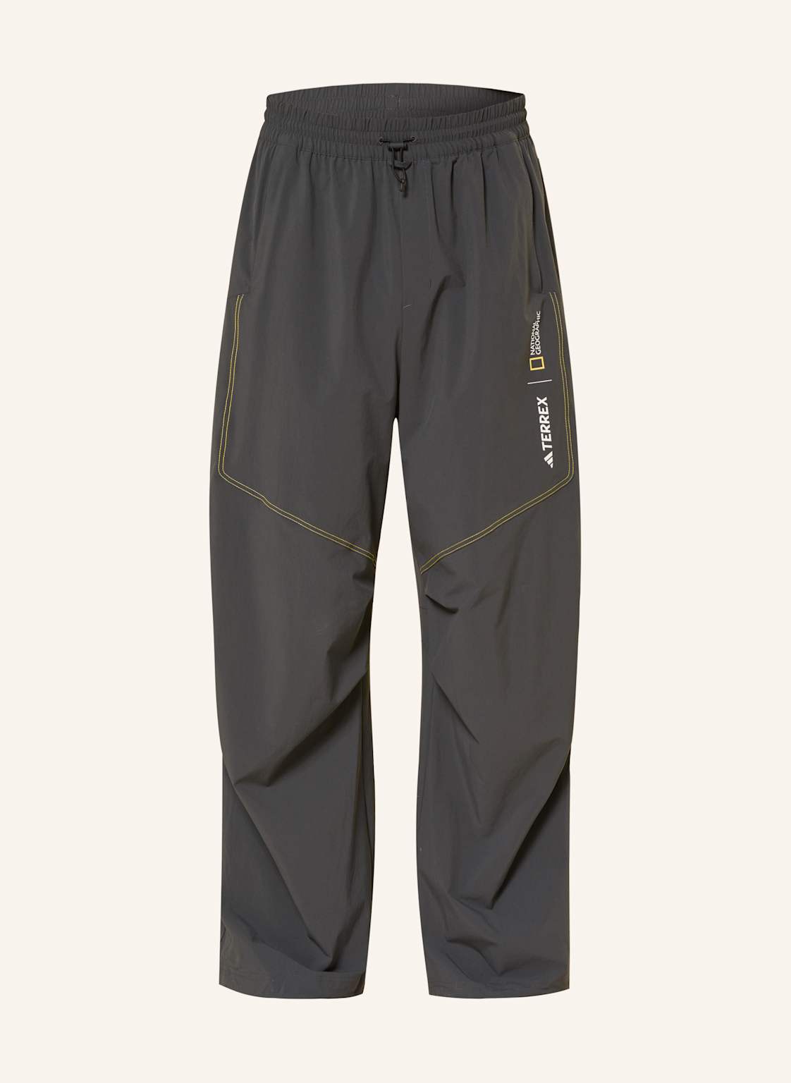 Adidas Terrex Spodnie Trekkingowe National Geographic grau