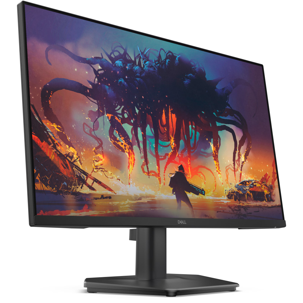 Dell SE2425HG 24
