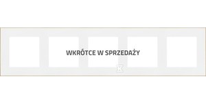 Ramka 5-krotna DUO: Biała, podstawa złota, SIMON55