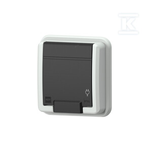 Gniazdo podtynkowe P/T, pojedyncze z uziemieniem IP55, szary AQUANT 2K