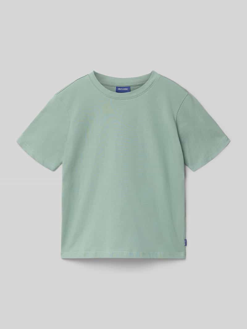 T-shirt o kroju regular fit z czystej bawełny model ‘FRED LIFE’