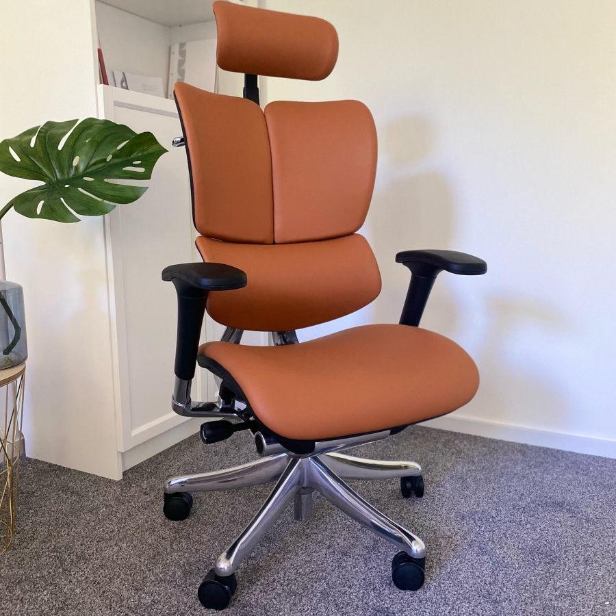 BROSCO Ergonimiczny Fotel ERGOFLY Fly L-06 Brown FYL01 L-06 Brown