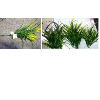 Bukiet traw 40 x 12 cm W1-0148