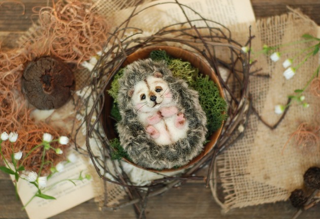 Jeżyk Miniaturka -I