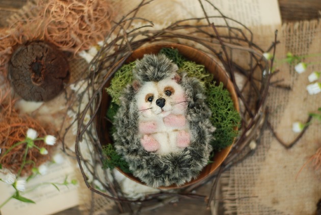 Jeżyk Miniaturka -III