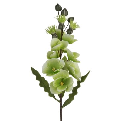 Kwiat dekoracyjny EUROFIRANY Flore 470844 Zielony