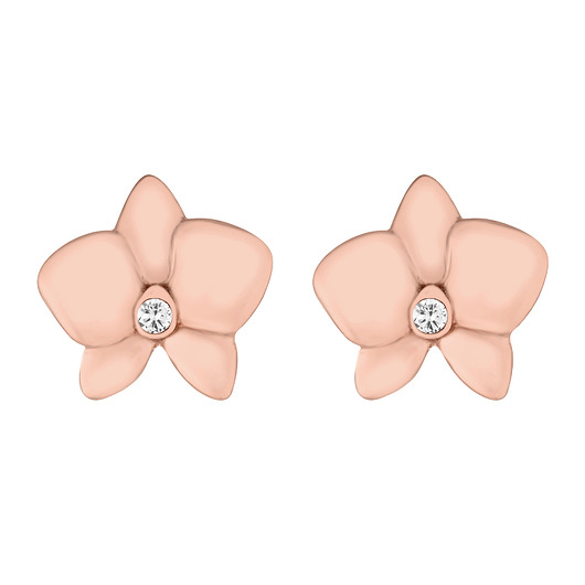 Kolczyki kwiatki orchidea z różowego złota