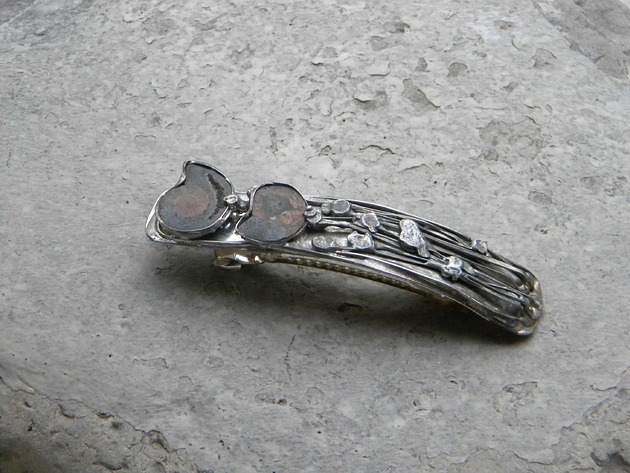 Amonity w roślinach - klamra