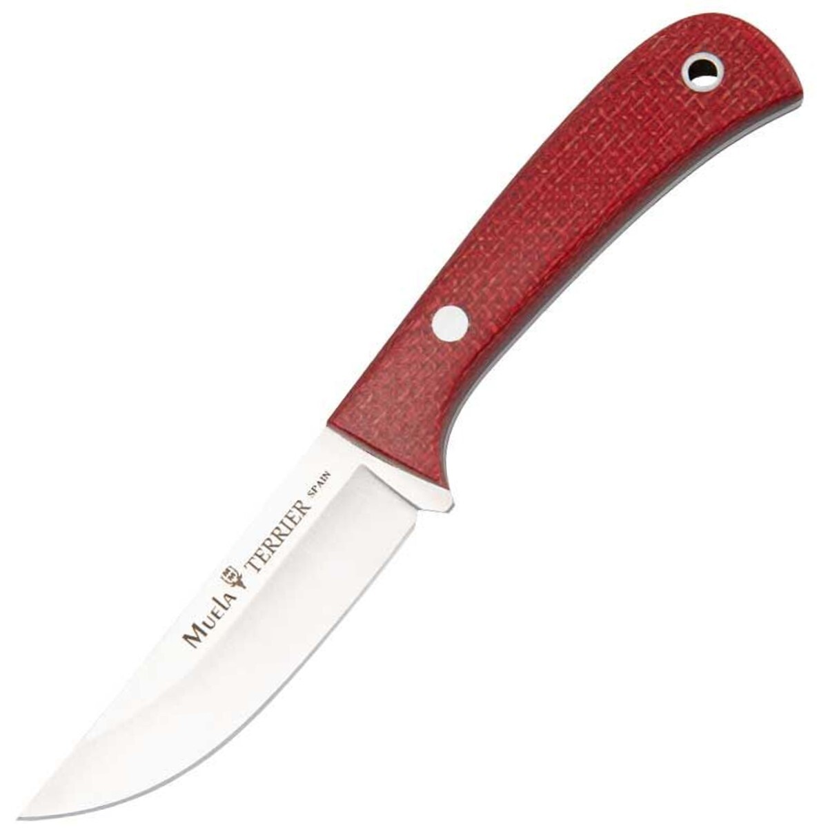 MUELA TERRIER Nóż Outdoor, Rękojeść Micarta, Pochwa Skórzana