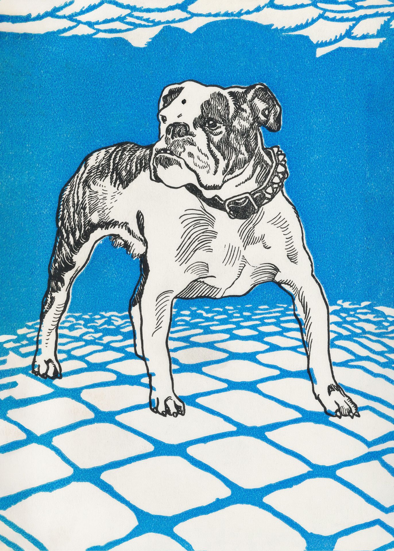 Plakat buldog angielski Moriz Jung secesja wiedeńska