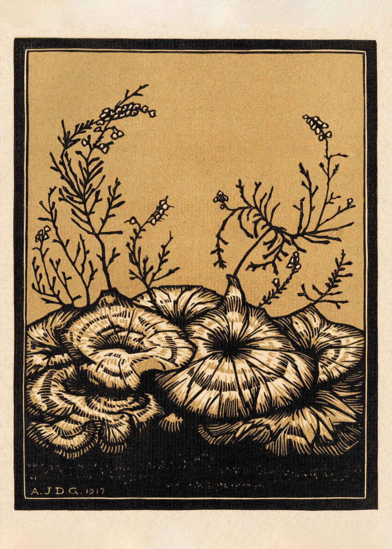 Plakat botaniczny grzyby Julie de Graag 1917 drzeworyt